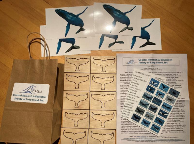 CRESLI Humpback Whale Identification Activity Set