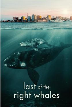 Virtual Screening of